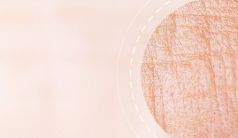 Anti-Aging Creams SkinCeuticals