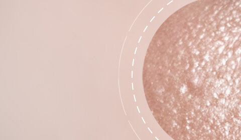 Anti-Aging Creams SkinCeuticals